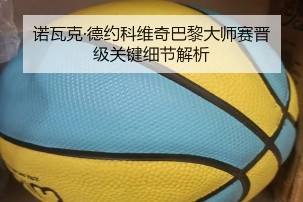 诺瓦克·德约科维奇巴黎大师赛晋级关键细节解析